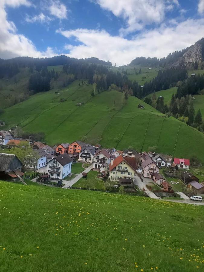 Pensiunea Sorina Casa Alba Moeciu De Sus Exteriör bild